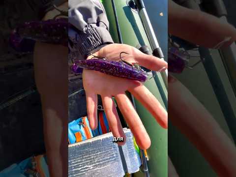 Как выманить щуку из травы #рыбалка #спиннинг #щука #esox