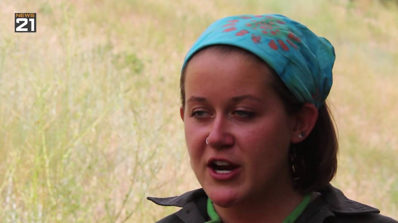 Millennials View Volunteerism as Political Alternative ✨