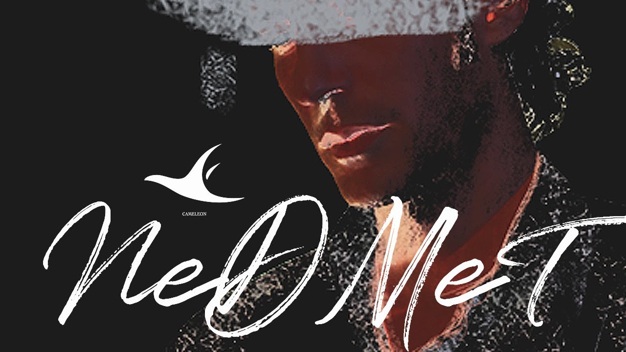 NEDMET Cameleon 🎵 Listen on Spotify & More