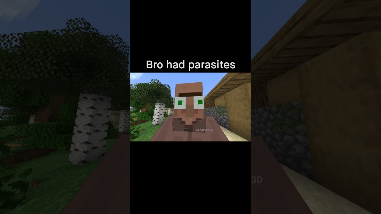 Minecraft Meme