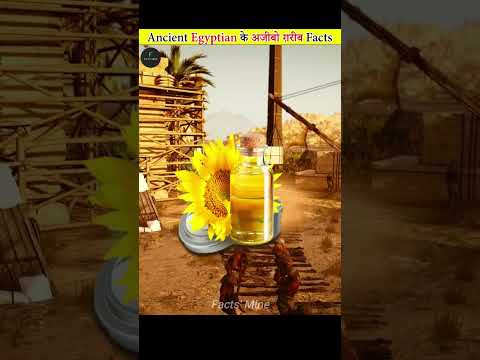 Craziest Facts About Ancient Egypt #shorts #factsmine