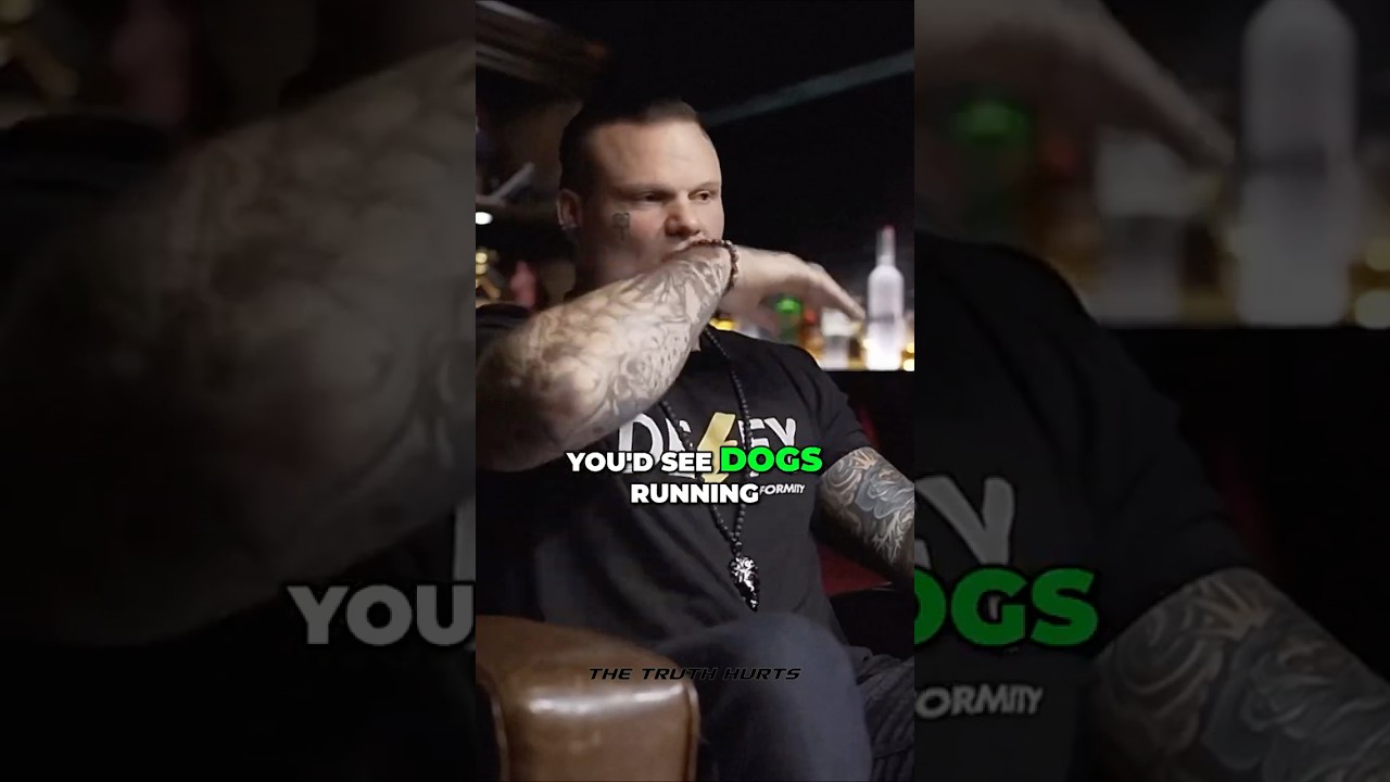 Dogs with Body Parts in Their Mouths 🐶 | Intense Battle of Fallujah Footage