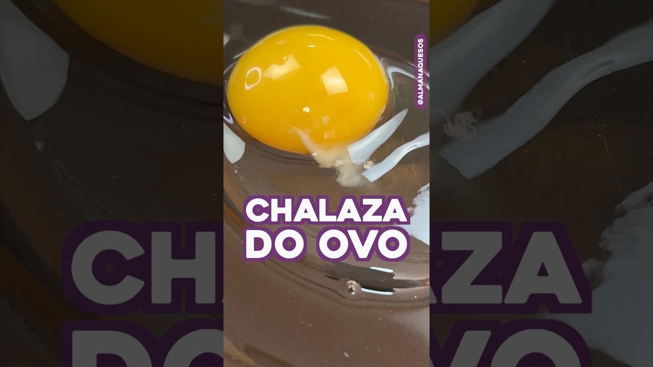 O que é a Chalaza no Ovo? 🥚