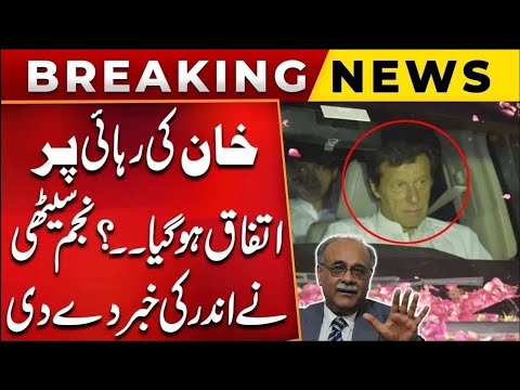 Imran Khan Release Date? | Great News For PTI | Najam Sathi Blasting Statement | Public News