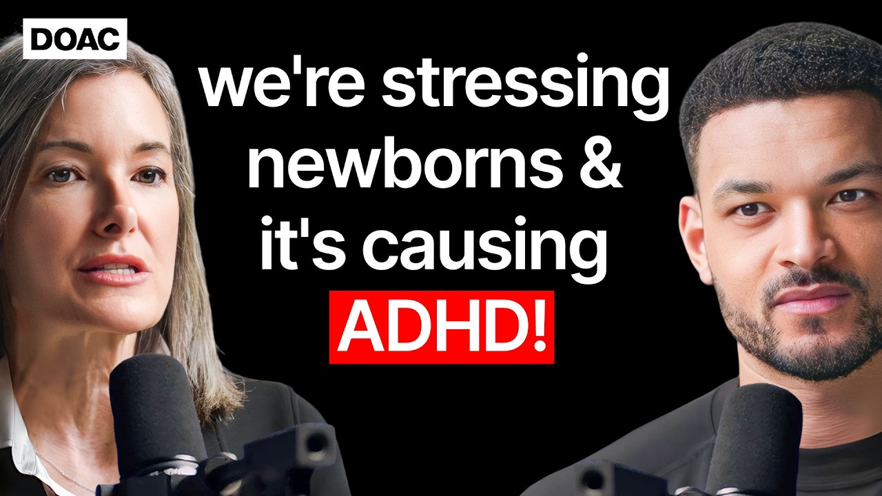 Child Attachment Expert Warns: Daycare Stress May Lead to ADHD in Kids 🚸