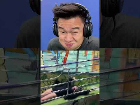 Try Not To Laugh With Water!