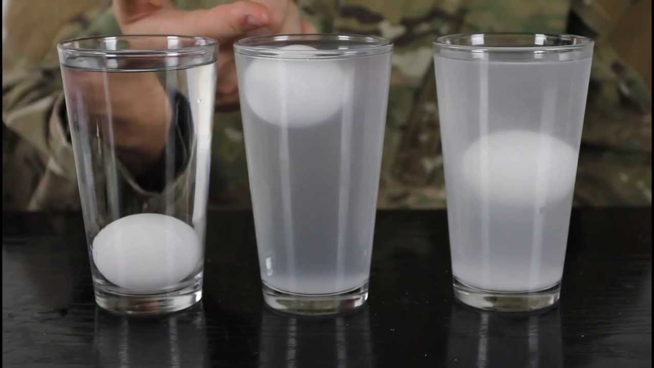 Eggs & Salt Water Density Experiment π§ͺ