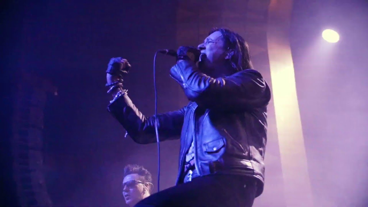 THE 69 The 69 Eyes - Black Orchid (Official Video) 🌹