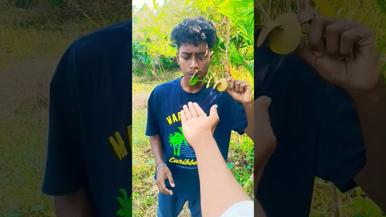 Eclairs & Pulse Candy 🍓🍭 | Jelly, Lollipop & More