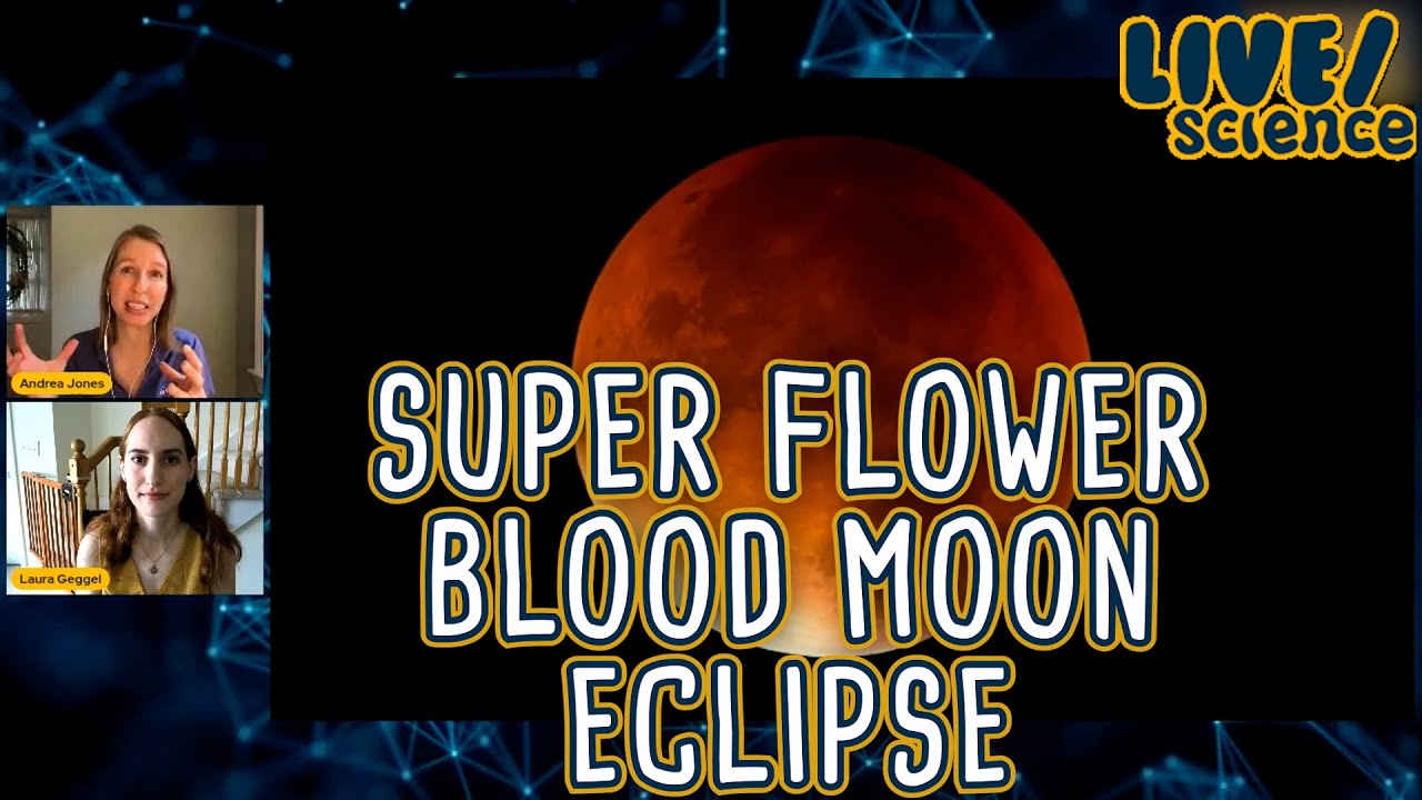 Live: Super Flower Blood Moon Eclipse 🌕