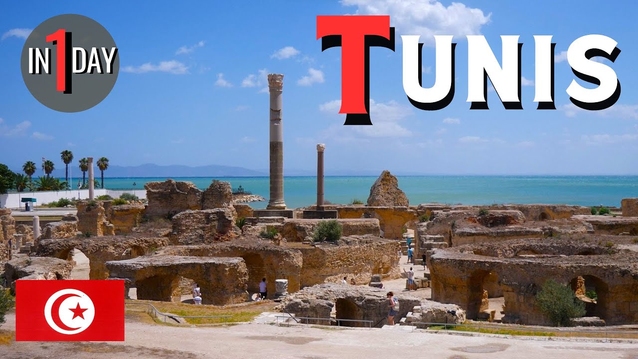 Tunis in One Day: Top Sights from Hammamet 🇹🇳