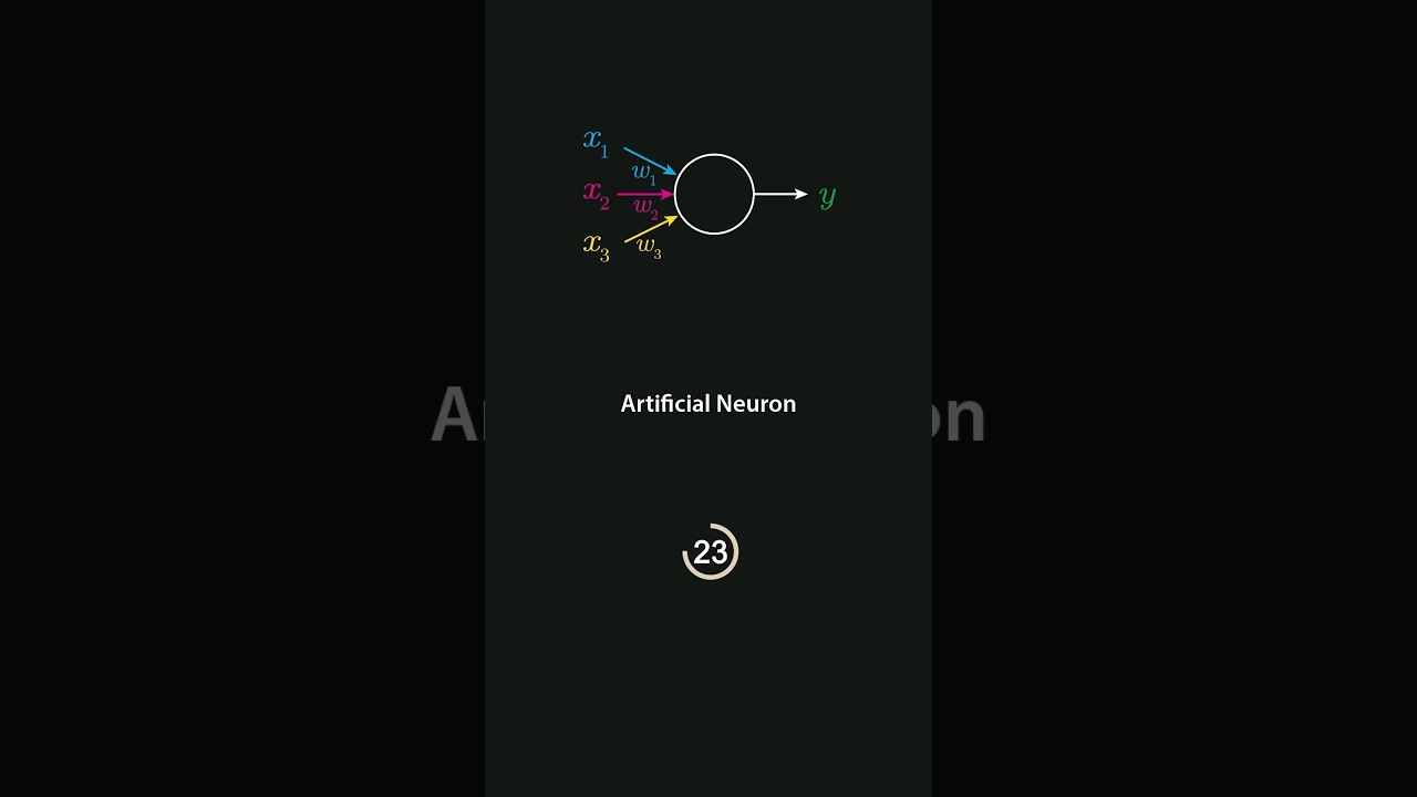 Why 'Neural Network' Is a Misleading Name π€