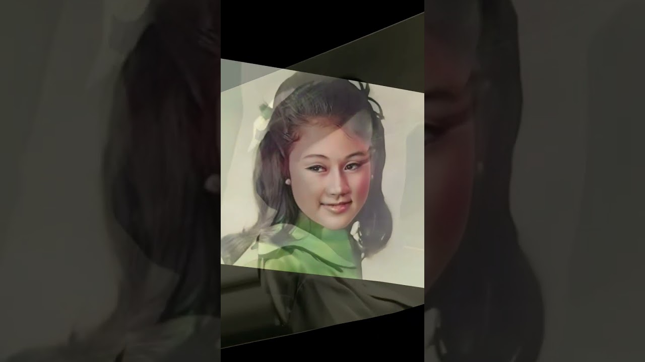 Vilma Santos Face Transformation π