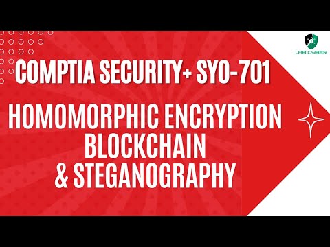 Homomorphic Encryption Blockchain and Steganography - CompTIA Security+ SY0-701 - 1.4