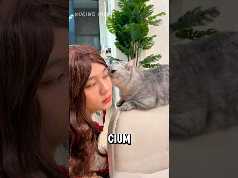 Oreo suka sama cewek cantik 😅 (part 2) #kucinglucu