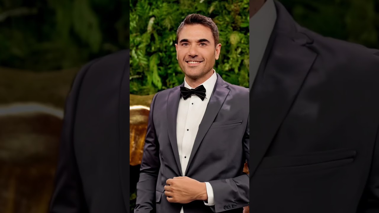 Ahmed Ezz's Best Colors for Fashion 🎨