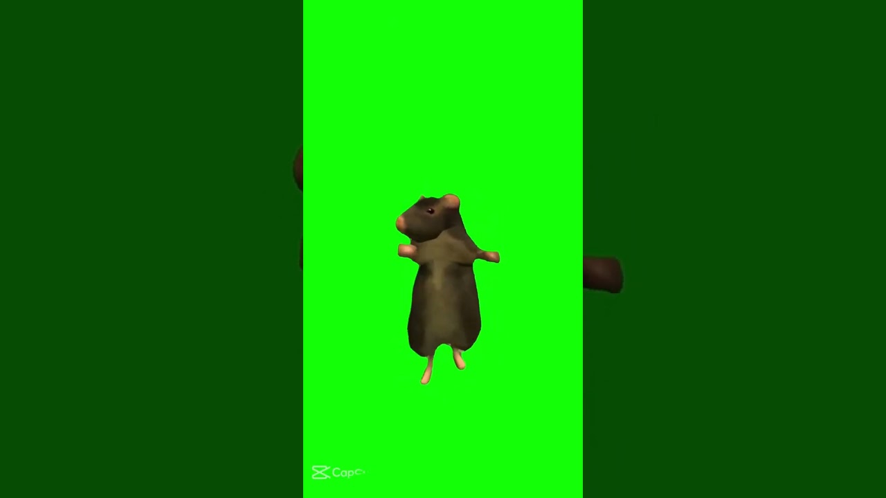 Tikus Menari-nari Seru 🐭