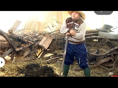 Music Marocaine Chaabi Rai CHEB KACEM Lam3alga Bla Rabi | راي شعبي مغربي  لمعلقة بلا ربي خليها طيح