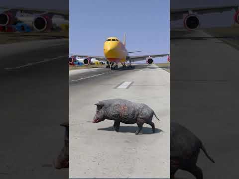 Pig Accidentally Hit by Landing Plane in GTA V on Runway 😱✈️ Crazy Pig Crash! #short #shortfeed