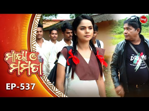 Maya O Mamata - ମାୟା ଓ ମମତା | Full Episode 537 | Odia Mega Serial | Mon–Sat @7PM | Sidharth TV