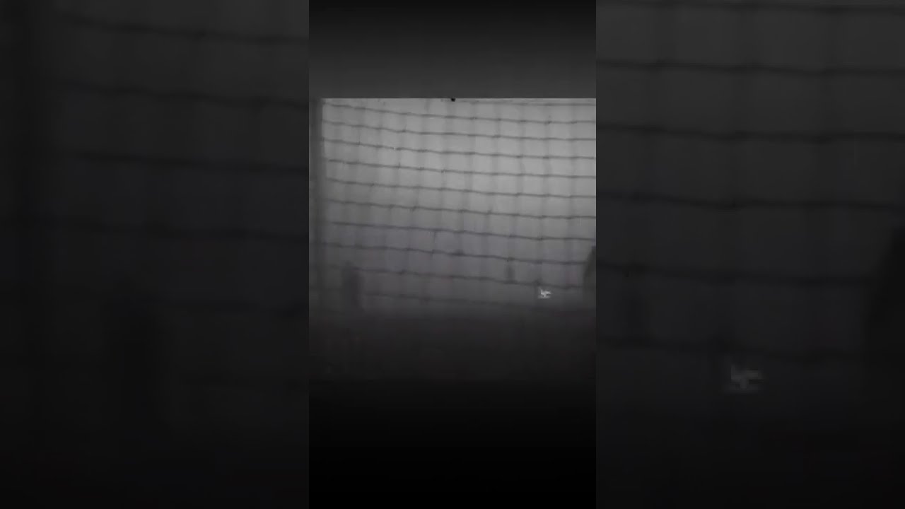 أغرب مباراة كرة قدم في التاريخ ⚽