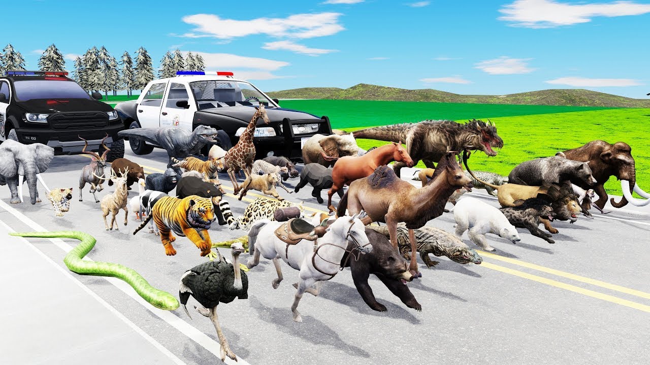 The Great Escape: 45 Animals Outsmarting the Law 🐾