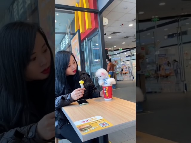 Adorable Teacup Dog Breeds & Miniature Puppy Wood Toys 🐶