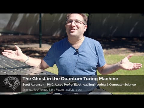 Scott Aaronson - The Ghost in the Quantum Turing Machine