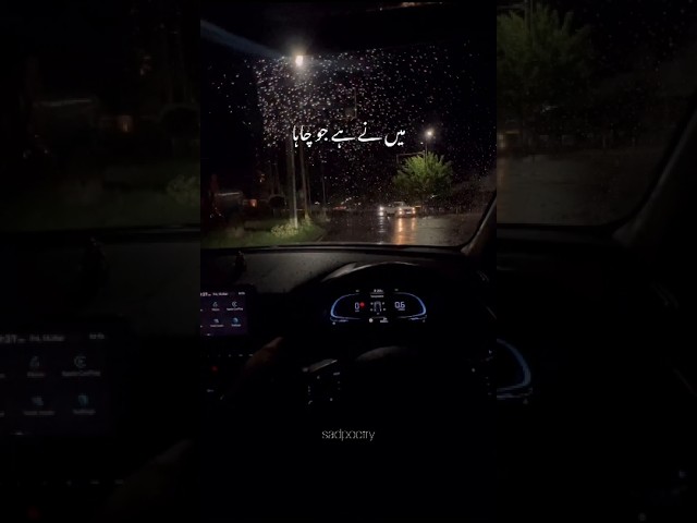 Haya OST Full Song | Rachel Johnson, Shani Arshad & Sumbul Iqbal 🎶