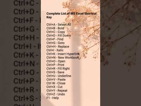 Complete List of MS Excel Shortcut Keys π