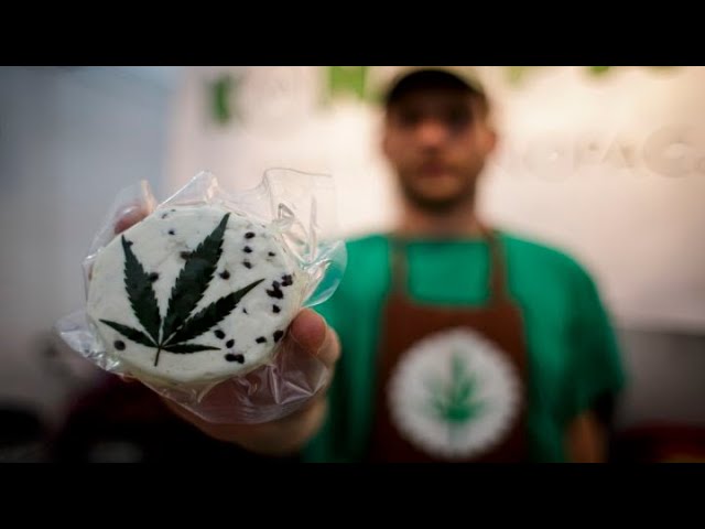 Bruce Linton Highlights US Cannabis Industry's Global Disadvantage 🌍