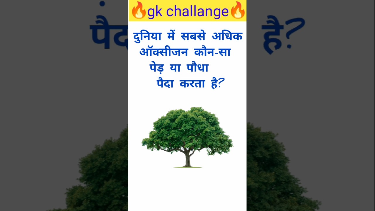 दुनिया का सबसे पुराना पेड़! 😱🌳