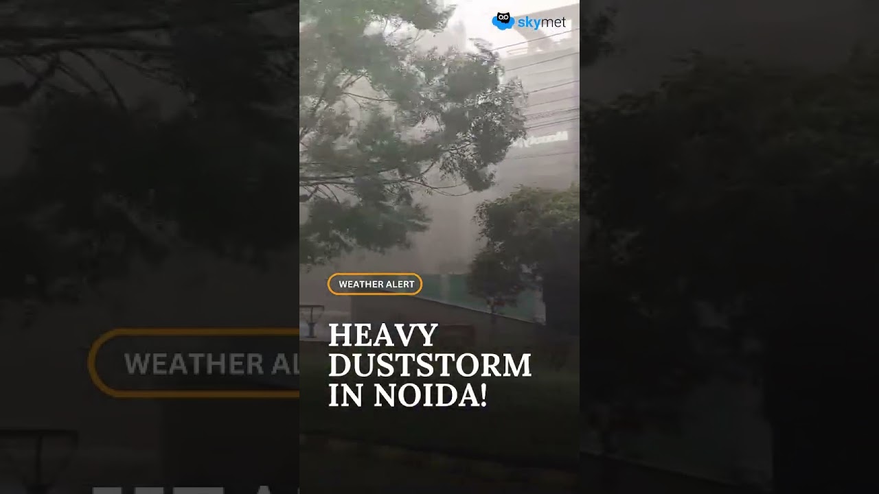 Noida Faces Heavy Duststorm as Predicted 🌪️