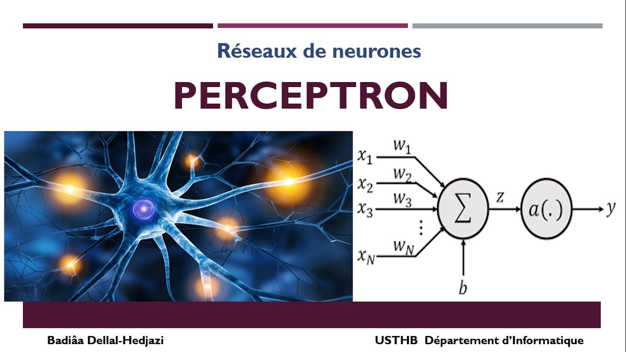 Le perceptron : Réseau de neurones simple