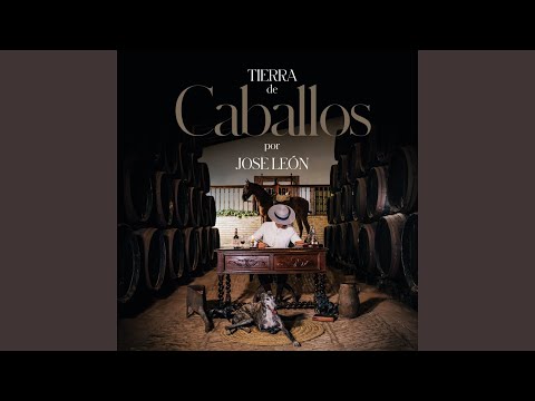 El Caballo De Mis Sueños