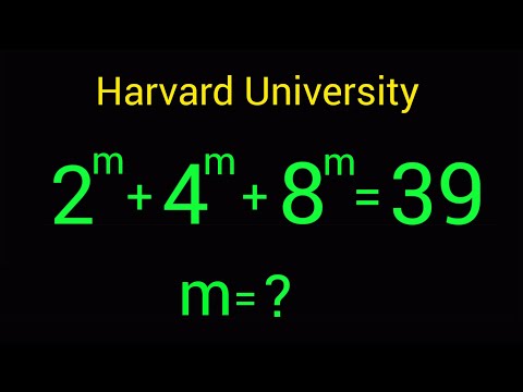 Harvard University Interview Strategies