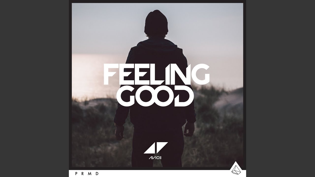 Feeling Good by Avicii 🎶