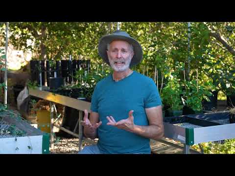 Highland Park: LA Native Plant Source Garden | Interview with Bruce Schwartz
