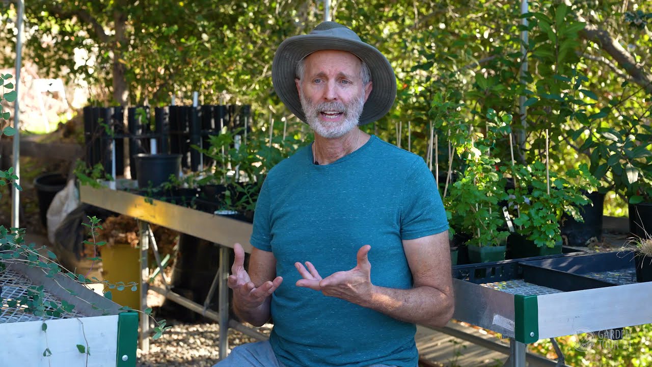 Discover Highland Park's Native Plant Garden 🌿: An Interview with Bruce Schwartz