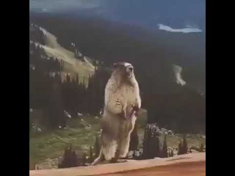 كي تقعد بينك وبين روحك وتتفكر 2020