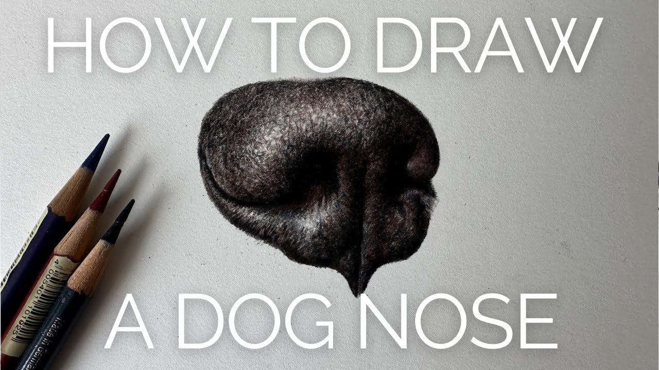 Drawing a Realistic Dog Nose with Coloured Pencils | Step-by-Step Tutorial