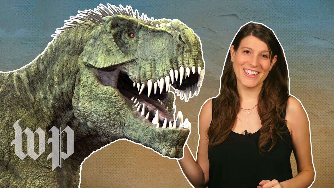 Dinosaurs' Sounds & Colors Explained 🦖