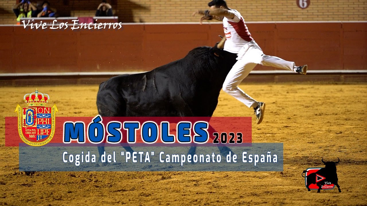 PETA recibe cogida en Campeonato de Recortadores 🇪🇸