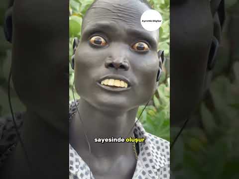 Afrika'daki İnsanlar Neden Siyah?