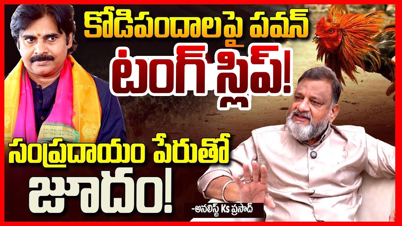 కోడిపందాలపై పవన్ | Analyst Ks Prasad About Sankranti Kodi Pandalu || Pawan Kalyan | Chandrababu | TR