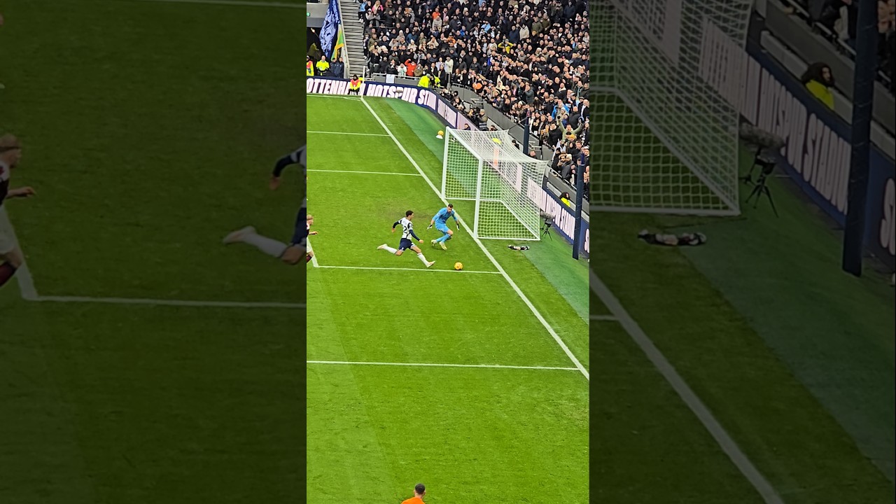 Brennan Johnson Hits Post in Spurs vs Newcastle