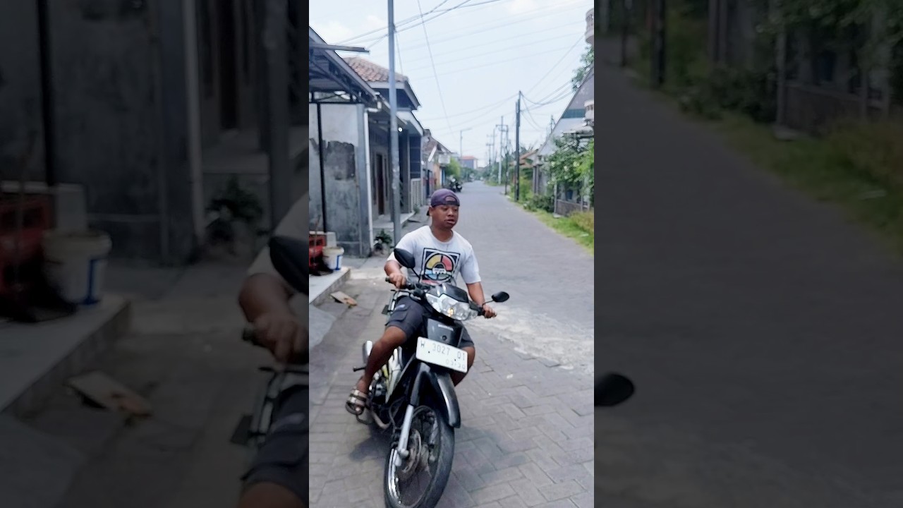 Kucing Nyebrang Jalan Bikin Ngakak π±