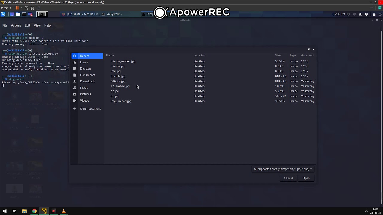 Stenography Made Easy with Kali & Stegosuite 🖥️