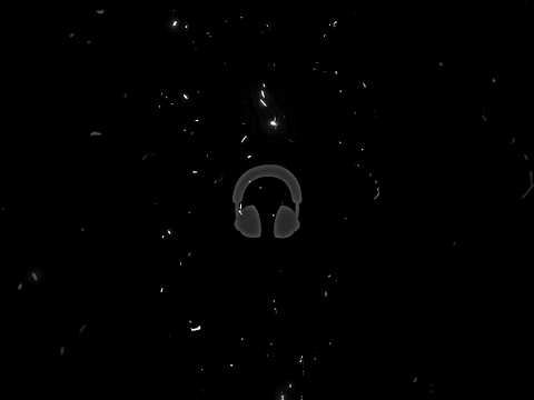 Floyymenor - GATA ONLY ft.Cris MJ (Lyrics Video) #letra #crismj #floyymenor #spanish