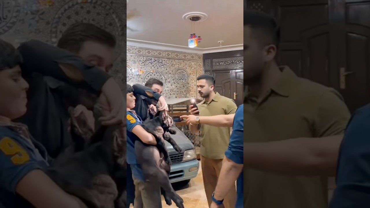 Rajab Vlogs with His New Dog 🐶